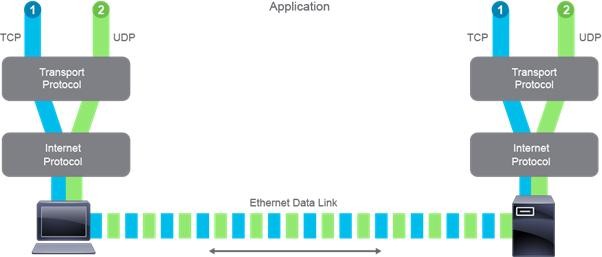 Click image for larger version

Name:	NetworkBasic4DEVNET 02.jpg
Views:	13
Size:	21.5 KB
ID:	425013